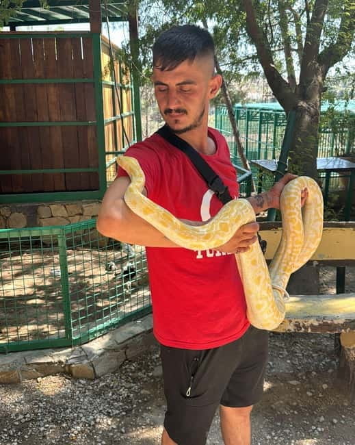 From Alanya: Lion Safari & Green Canyon Splash Feast w/Lunch - Lion Safari: Close Encounters with Majestic Creatures