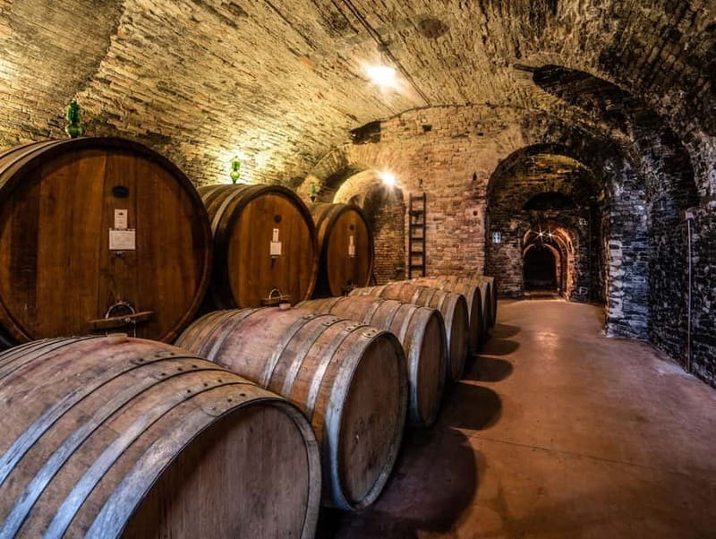 From Alba: Barolo & Barbaresco Wine Tasting Tour - The Logistics: What You Need to Know