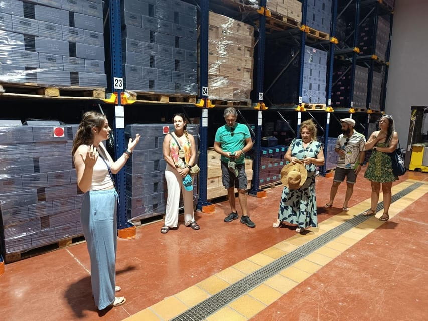 From Alicante ,Benidorm: Winery Tour and Wine Tasting - Entering the Heart of Alicante’s Wine Country