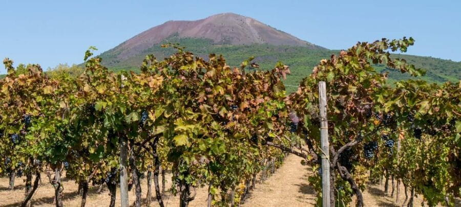 From Amalfi: Pompeii and Mount Vesuvius Winery Private Tour - Who Should Consider This Tour?