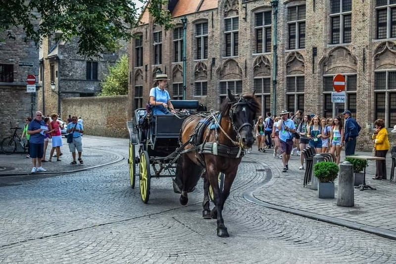 From Amsterdam: Private Sightseeing Tour to Bruges - A Deep Dive into the Experience