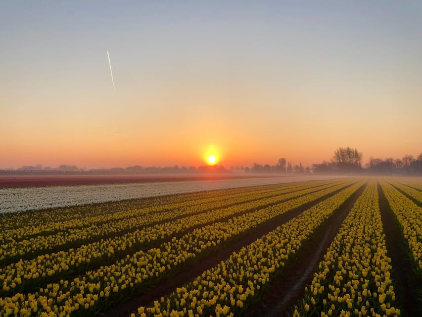 From Amsterdam: The Tulip Sunset Tour with Dinner - FAQ