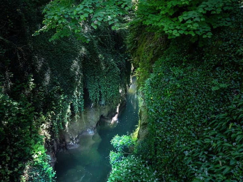 From Annecy: Sierroz Gorges, Lake Bourget, and Mont Revard - First Stop: Gorges du Sierroz – Water’s Artistic Paradox