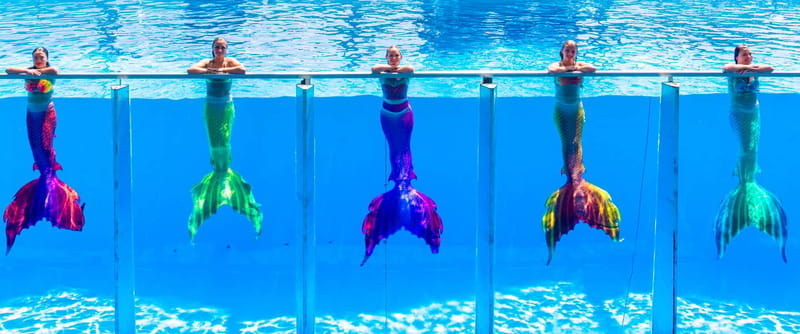 From Antalya/Kemer: Dolusu Park (Standart Package) - Who Should Visit?