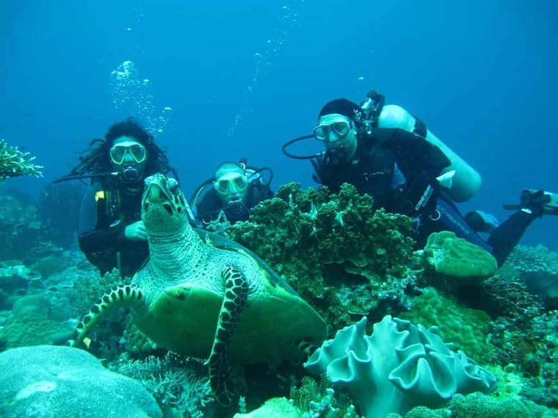 From Antalya: Scuba Diving With Lunch and Transfer - Discovering the Mediterranean Beneath the Surface