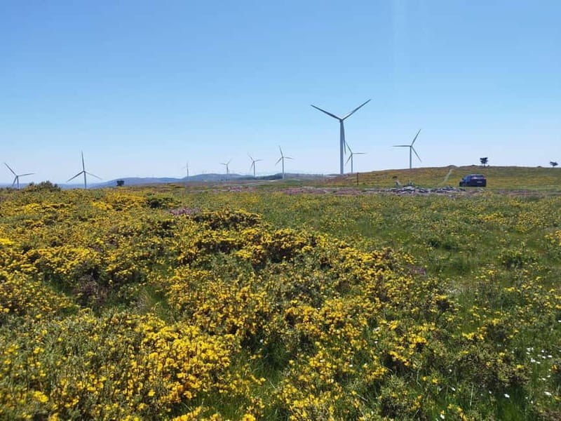 From Arouca: Private Car Tour to Serra da Freita - An Easy and Scenic Journey in Comfort