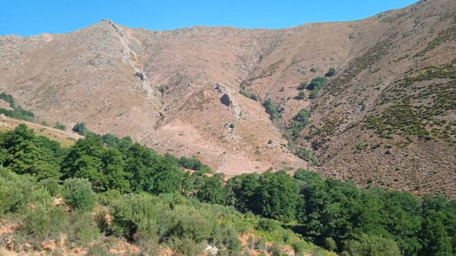 From Arzana: trekking to Punta La Marmora with aperitif - Discovering Sardinia’s Highest Point: An Honest Look