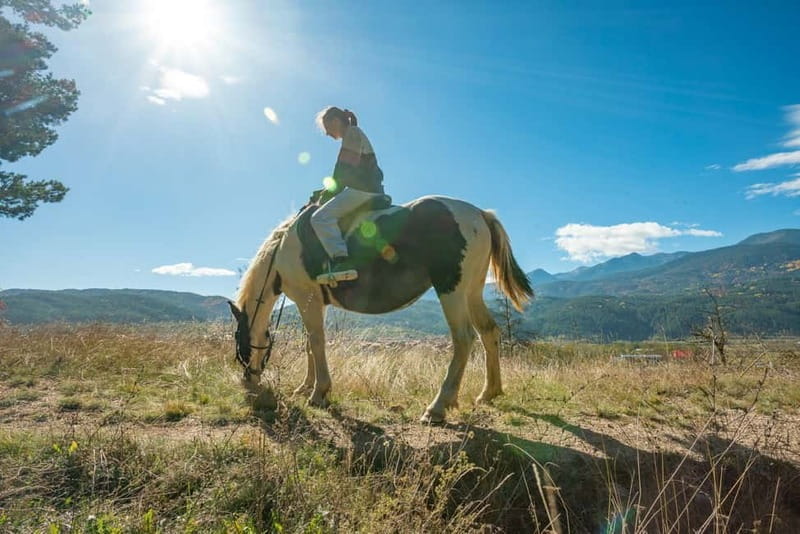 From Bansko: Horse Riding Experience - Discovering the Horse Riding Experience Near Bansko