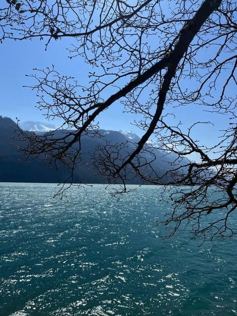 From Basel: Alps, Waterfalls and Lakes Private Tour - Who Is This Tour Best For?