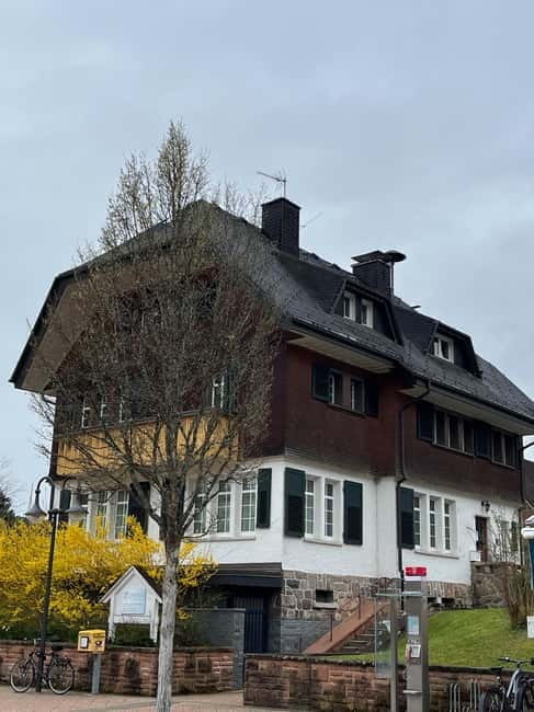 From Basel: Black Forest, Waterfall & Lakes Private Tour - Introduction to the Black Forest Private Tour from Basel