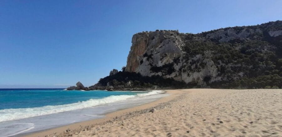 From Baunei: Cala Luna and Dorgali Full-Day Guided Trek - Entering Sardinia’s Scenic World: The Itinerary