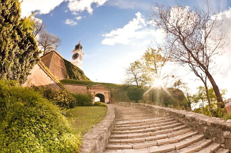 From Belgrade: Novi Sad and Sremski Karlovci Day Trip - Who Should Consider This Tour?