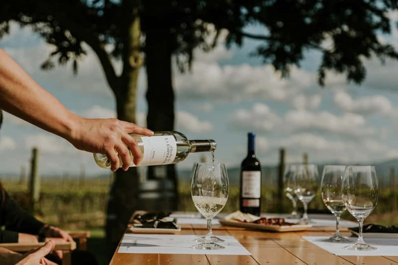 From Bilbao: La Rioja a journey to the vineyards & tradition - FAQs