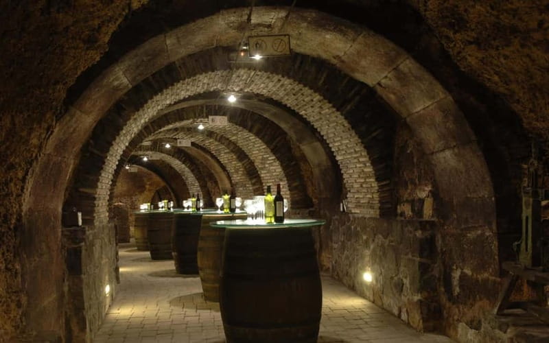 From Bilbao: La Rioja Wineries Day Trip with Wine Tastings - Starting at Bilbao: The Convenience of the Meeting Point