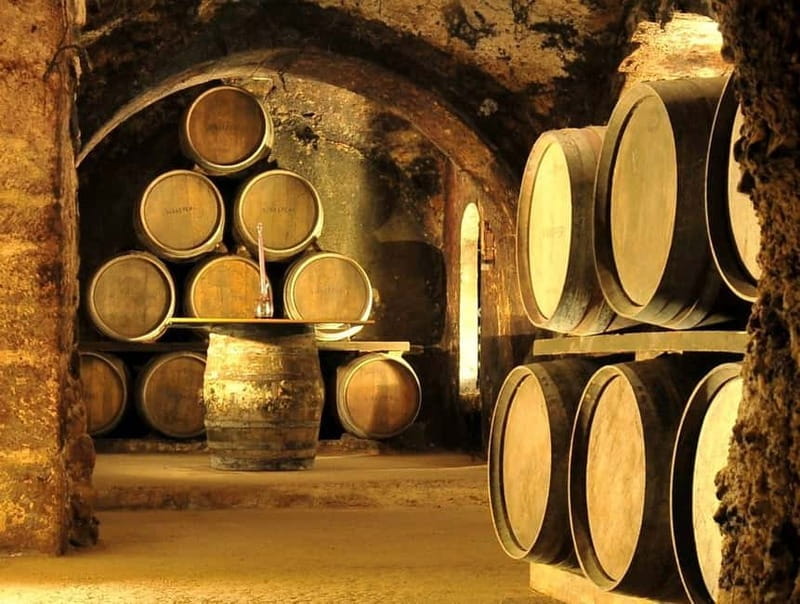 From Bilbao: Rioja Wine Region with Winery & Vitoria-Gasteiz - Who Would Love This Tour?