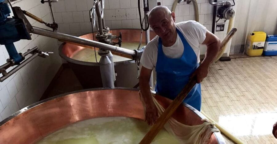 From Bologna: Emilia Excellence Food Tour - The Value of Guided Tours and Authentic Experiences