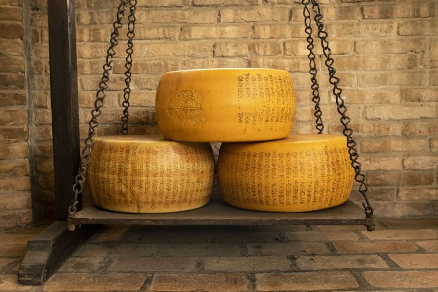 From Bologna or Modena: Parma Gastronomic Tour with Lunch - Exploring the Parma Food Valley: An Authentic Day of Tasting and Learning