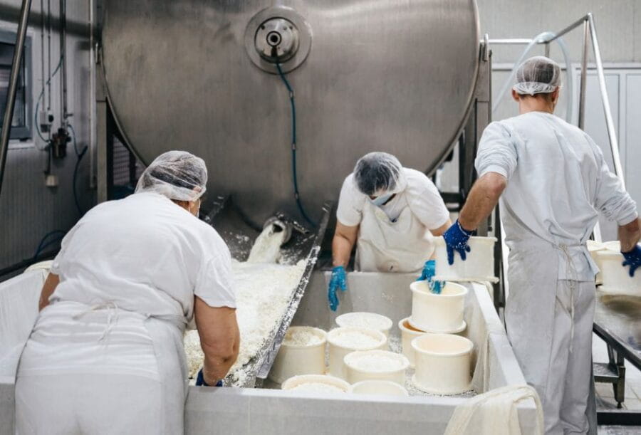 From Bologna: Parma Cheese & Ham Factory Tours and Tastings - The Cheese Factory: Witnessing Parmigiano Reggiano’s Creation