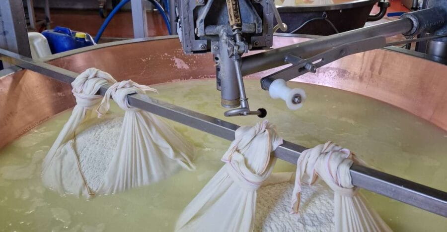 From Bologna: Parmesan, Vinegar, Lambrusco with Transfer - Visiting the Parmesan Cheese Farm