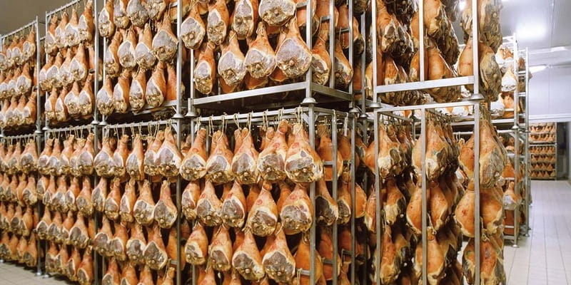 From Bologna: Parmesan, Wine, and Prosciutto Tour - Why This Tour Stands Out