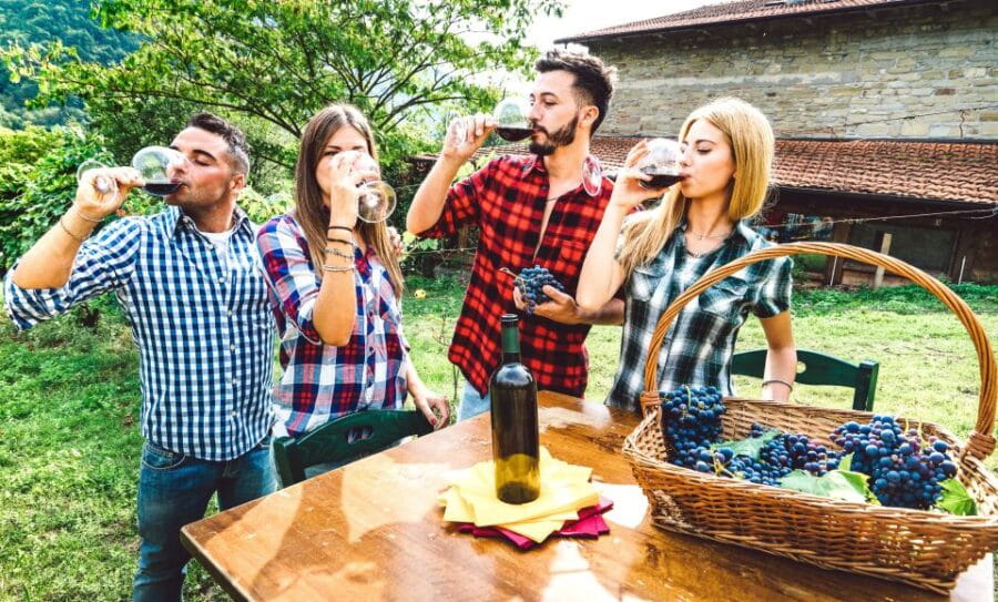 From Bologna: Wine Experience Colli Bolognesi - Who This Tour is Perfect For