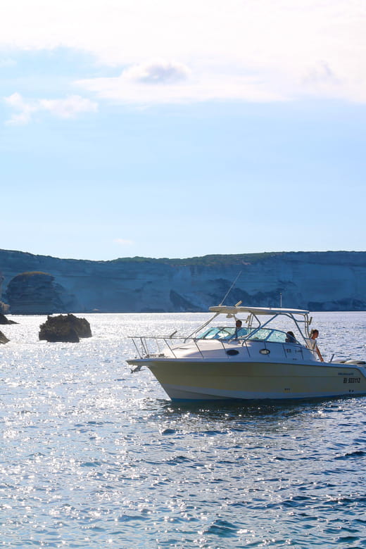 From Bonifacio: Lavezzi Islands and Bonifacio Boat Tour - Who Will Love This Tour?