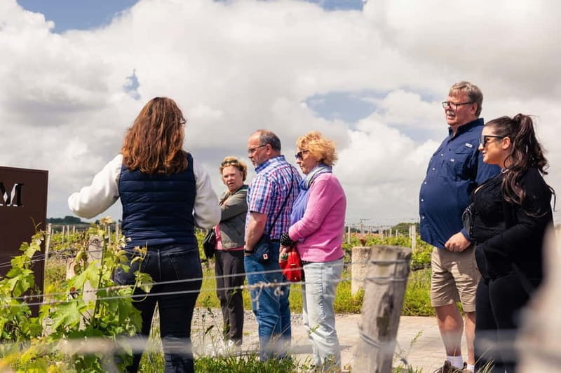 From Bordeaux: Afternoon Wine Tasting in the Medoc Region - Logistics and Practicalities