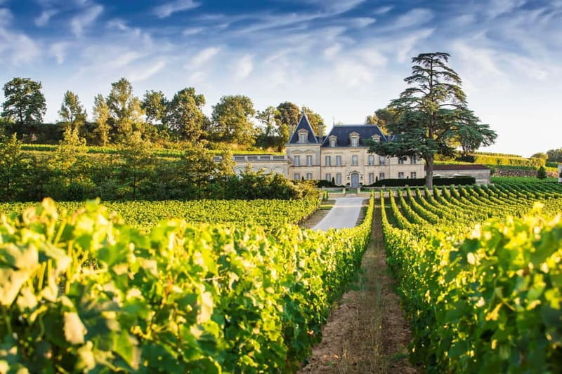 From Bordeaux: Private Wine Tour to Saint-Émilion - Who Should Consider This Tour?