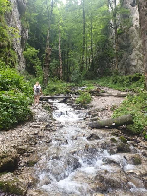 From Brasov : Hiking in Piatra Craiului National Park - Zarnesti Gorge: Nature’s Sculpture