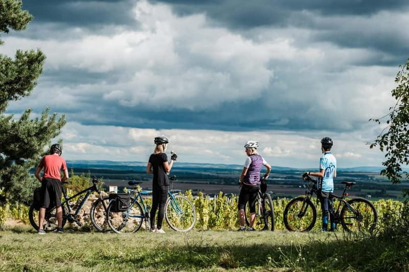From Brno: Moravian Tuscany E-Bike Tour with Wine Tasting - Price, Logistics, and Who Will Love It
