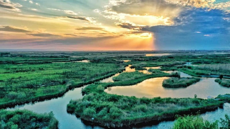 From Bucharest: Danube Delta Private Day Trip with Boat Tour - The Itinerary: What Makes This Tour Special
