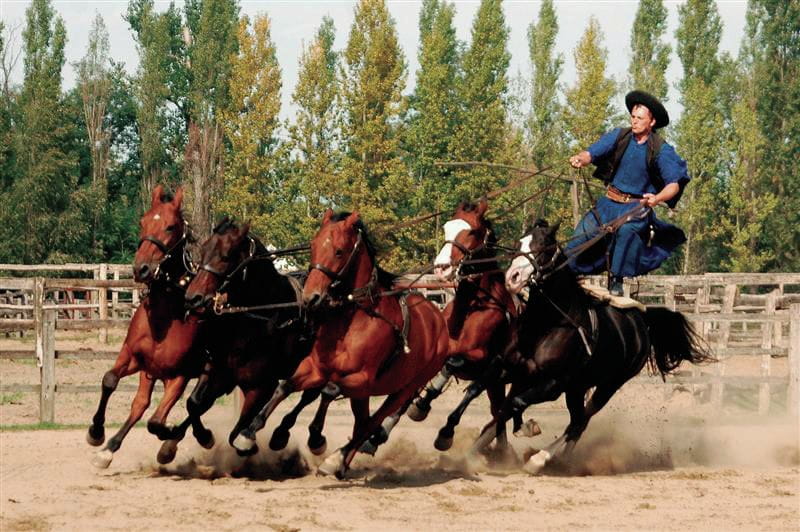 From Budapest: Full-Day Puszta Tour with Lunch and Show - Who is this tour best suited for?