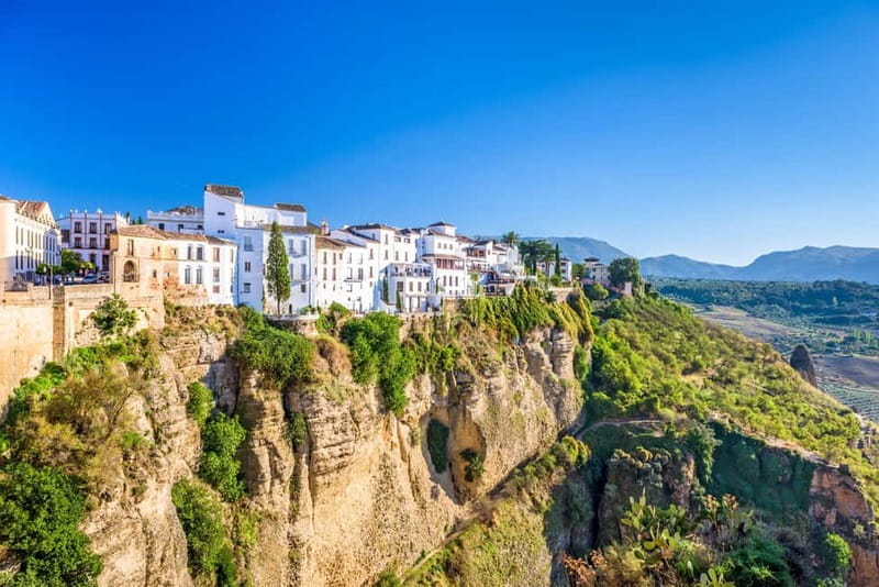 From Cádiz: Ronda Premium Private Day Tour with Wine Tasting - Bodegas Excelencia: A True Family-Run Gem