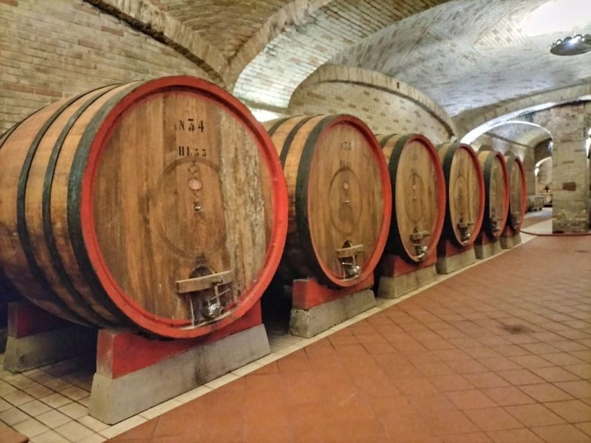 From Cagliari: Wine Cellar Tour with Tastings - Inside the Cellar: Witnessing the Winemaking Process