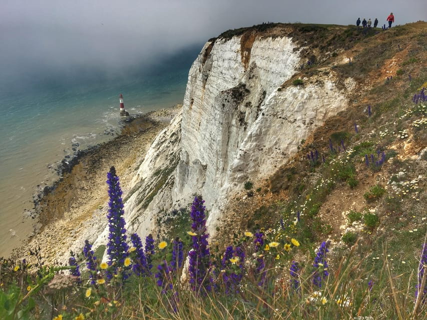 From Cambridge: Guided day trip to Brighton & Beachy Head - Logistics and Comfort: What to Expect