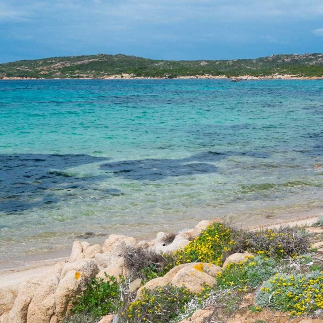 From Cannigione: Private Boat Tour, Snorkeling in Tahiti - Who This Tour Is Perfect For