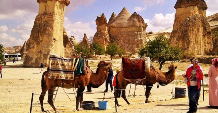 From Cappadocia: Sunrise or Sunset Camel Riding Day Trip - FAQ