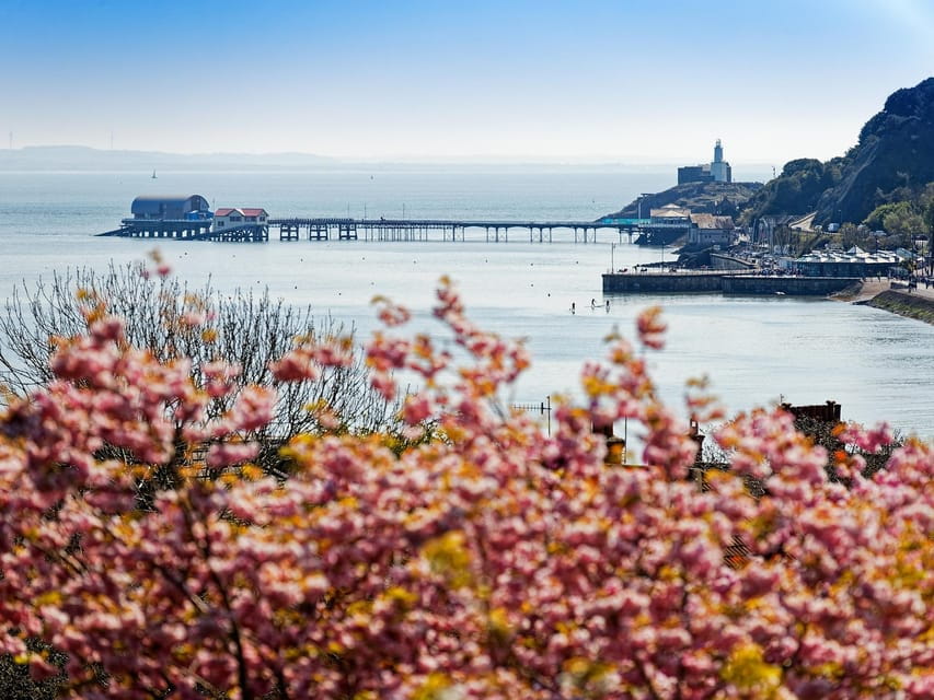 From Cardiff: Golden Gower Coast, Swansea & Mumbles Day Tour - Analyzing the Value and Who It’s Best For