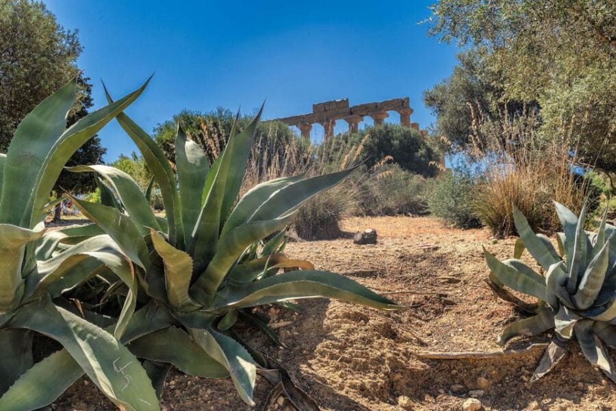 From Cefalù: Guided Tour to Agrigento Valley of the Temples - The Practicalities: Price, Logistics, and What’s Included