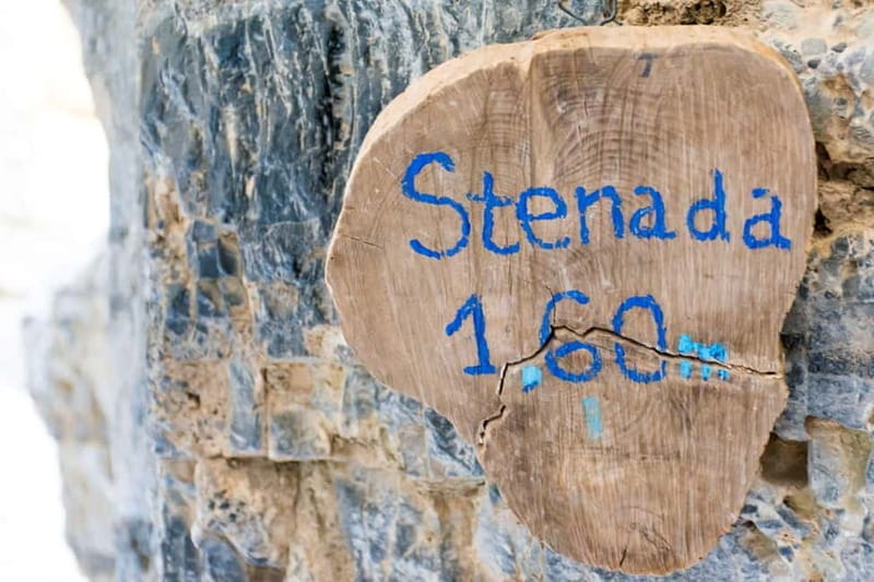 From Chania: Imbros Gorge and Sfakia Experience Hike & Swim - Who is This Tour For?