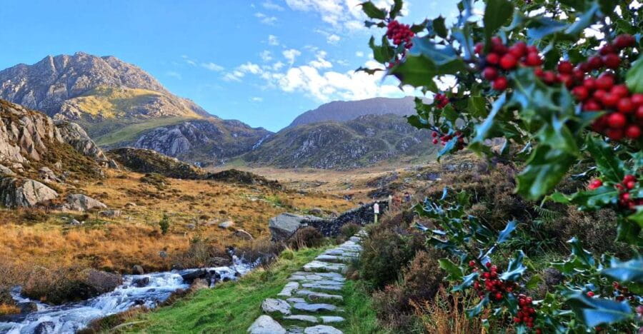 From Chester: North Wales and Caernarfon Castle Tour - FAQ