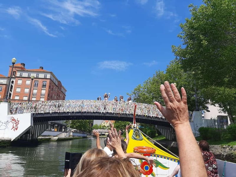 From Coimbra: Tour to Aveiro, Costa Nova beach, and Moliceiro boat ride - Who This Tour Is Perfect For