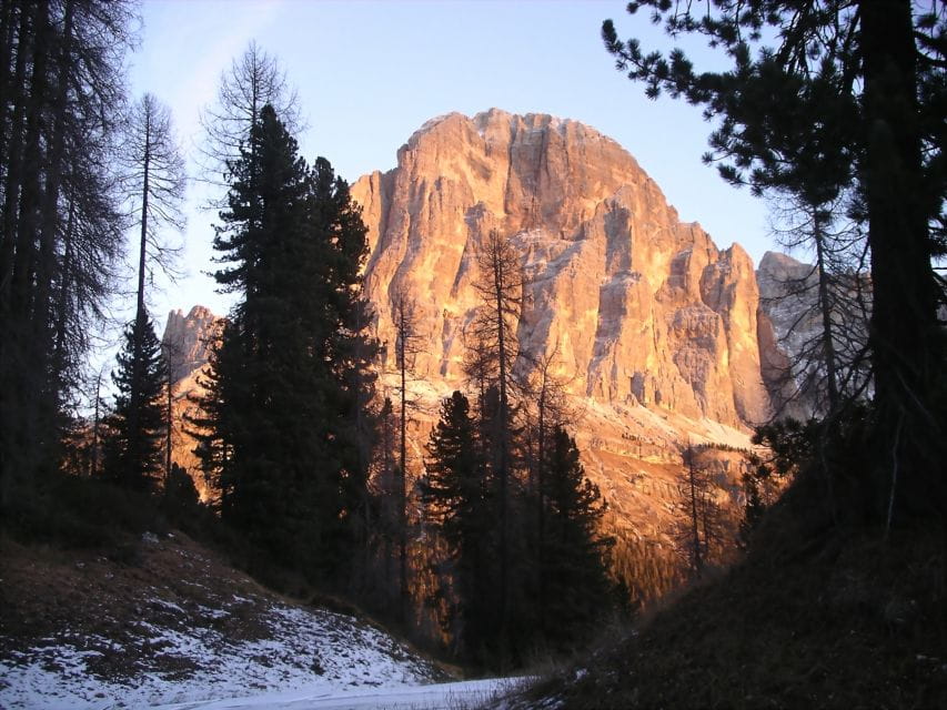 From Cortina: Full-Day Dolomites Mountains Tour - Who Will Love This Tour?