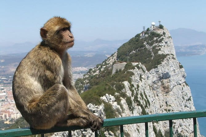 From Costa del Sol: The Gibraltar classic Rock tour - Key points / Takeaways