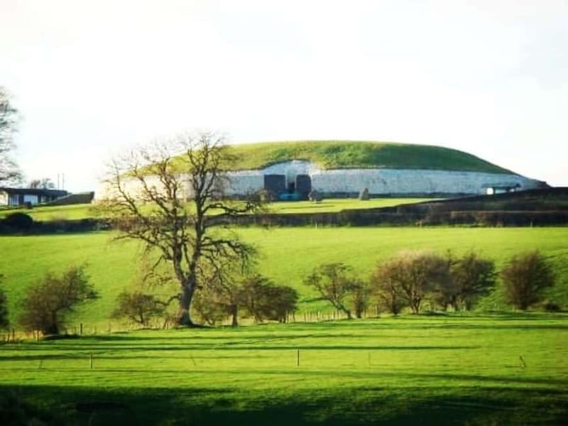 From Dublin: Newgrange, Trim Castle and Hill of Tara - Analyzing the Value and Suitability