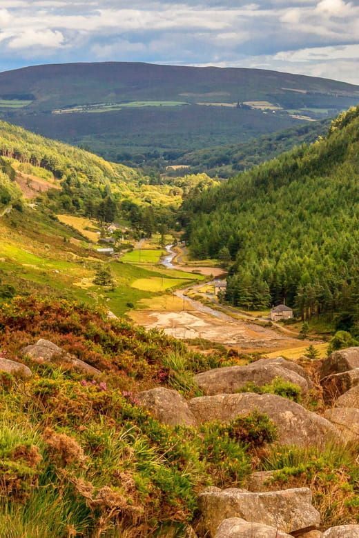 From Dublin: Wild Wicklow Mountains and Glendalough Tour - Authentic Experiences at Glendalough