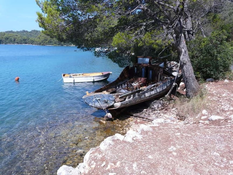 From Dubrovnik: Mljet Island Guided Catamaran Day Tour - Who Should Consider This Tour?