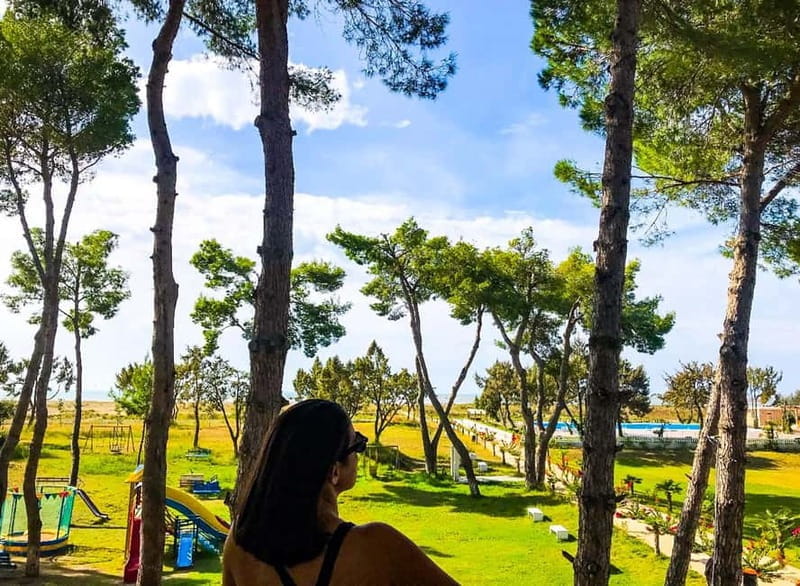 From Durres: Karavasta Lagoon Adventure Boat Tour & Wildlife - Price, Value, and Practical Tips