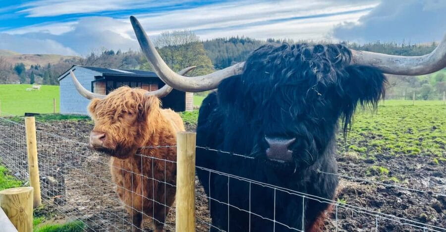 From Edinburgh: Loch Ness, Glencoe & The Highlands Day Trip - Who is This Tour Best Suited For?