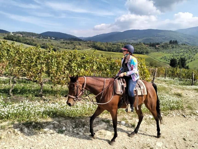 From Florence: Horse Ride and Wine Tour at Estate with Lunch - Who is this experience best suited for?